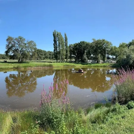 4 Etoiles - Piscine - Eeedeh *