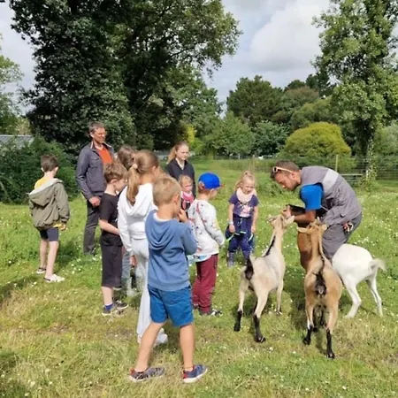 4 Etoiles - Piscine - Eeedeh Шале Геранд